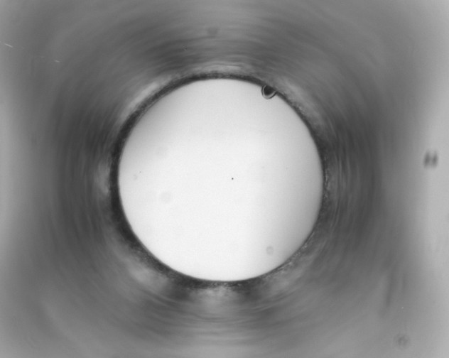 X0000090430112200708102013