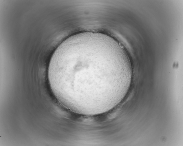 X0000090430113200708102013