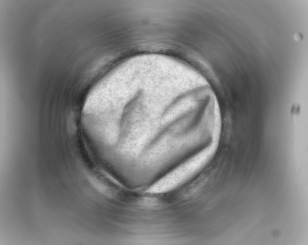X0000090430114200708102013