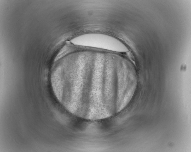 X0000090430115200708102013