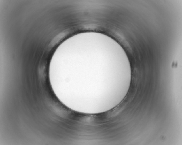 X0000090430116200708102013