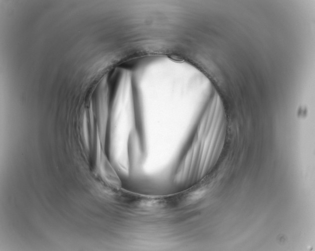 X0000090430117200708102013