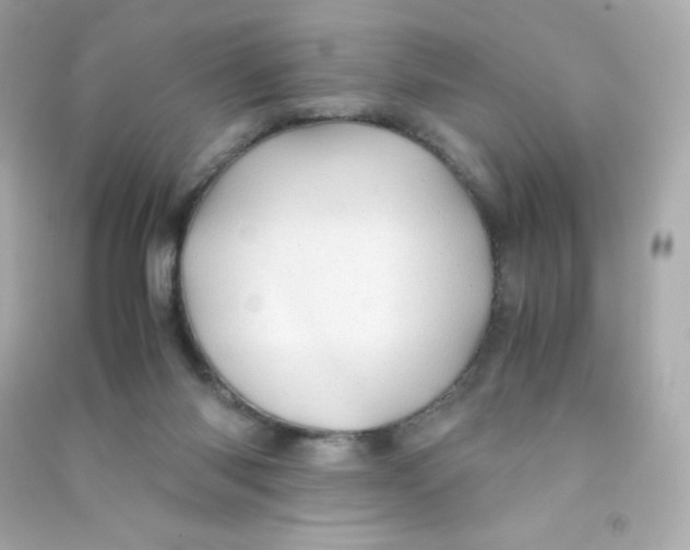 X0000090430118200708102013