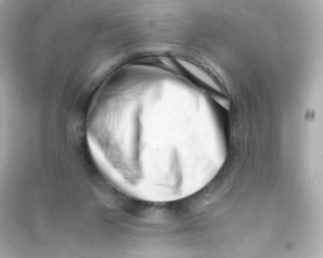 X0000090430119200708102013