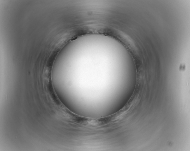 X0000090430121200708102013
