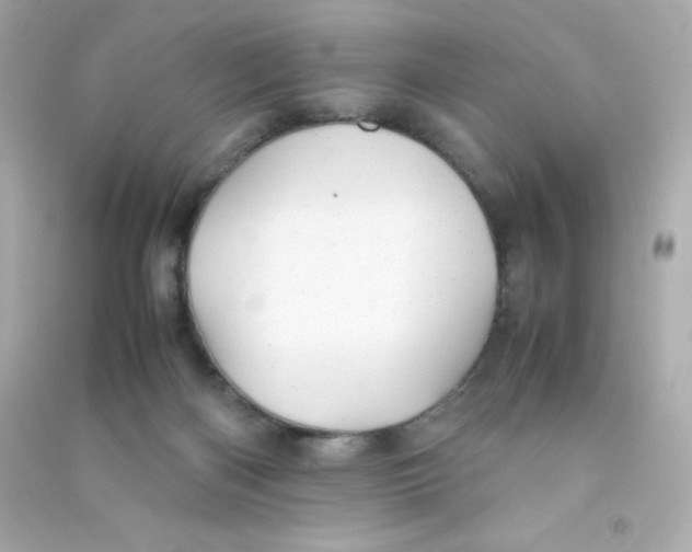 X0000090430122200708102013