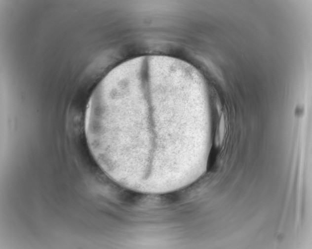 X0000090430123200708102013