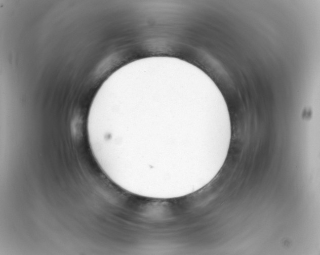 X0000090430124200708102013