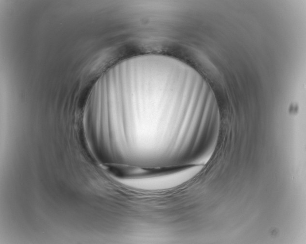 X0000090430125200708102013