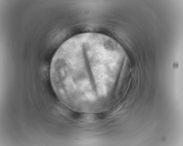 X0000090430127200708102013