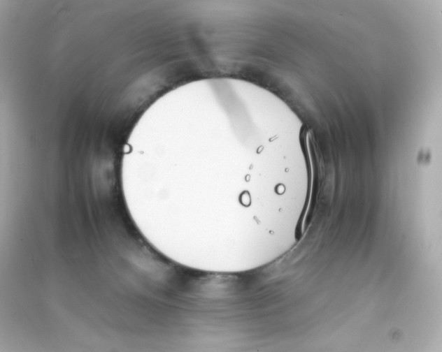 X0000090430128200708102013