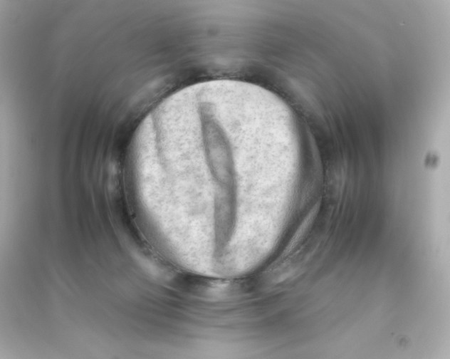 X0000090430130200708102013