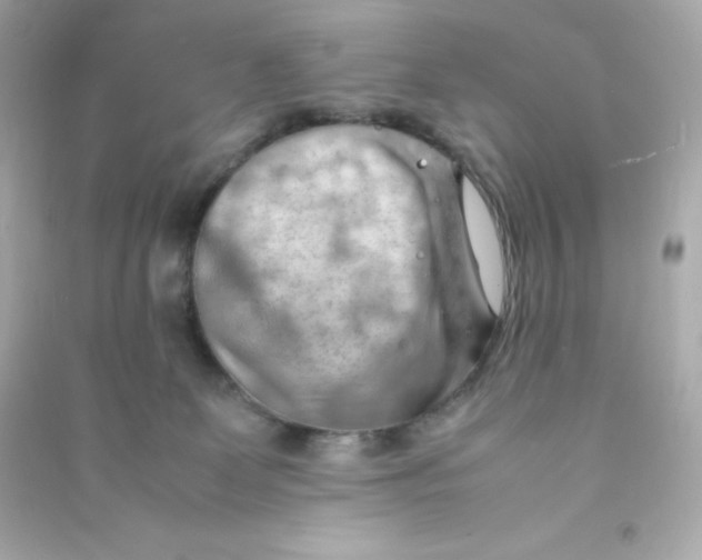 X0000090430131200708102013