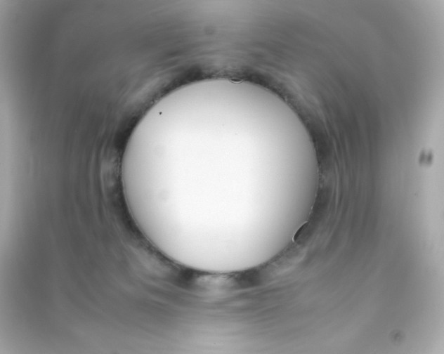 X0000090430133200708102013