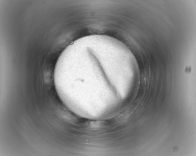 X0000090430134200708102013