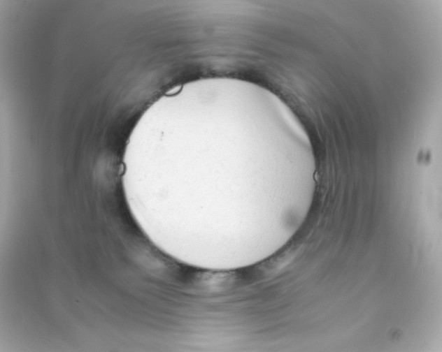 X0000090430135200708102013