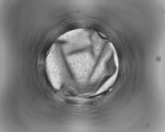 X0000090430137200708102013