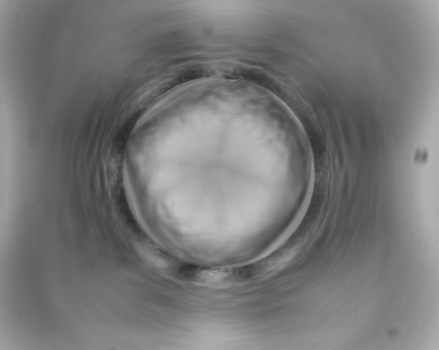 X0000090430139200708102013