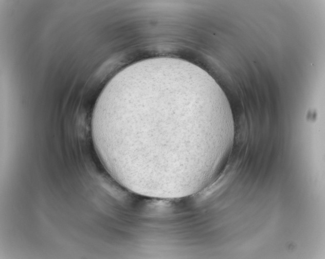X0000090430140200708102013