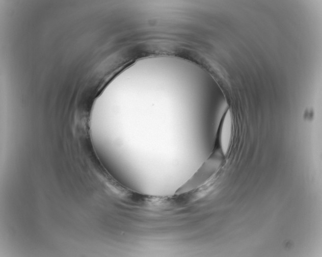 X0000090430141200708102013