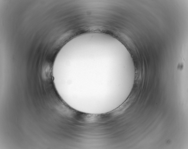 X0000090430142200708102013