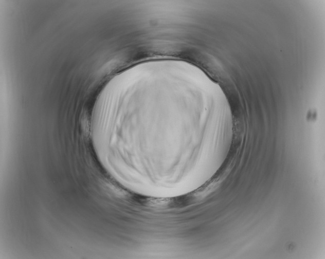 X0000090430143200708102013