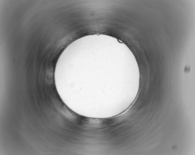 X0000090430144200708102013
