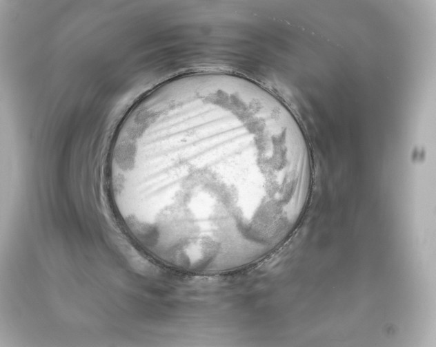 X0000090430145200708102012