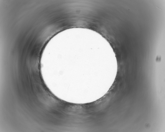 X0000090430146200708102012