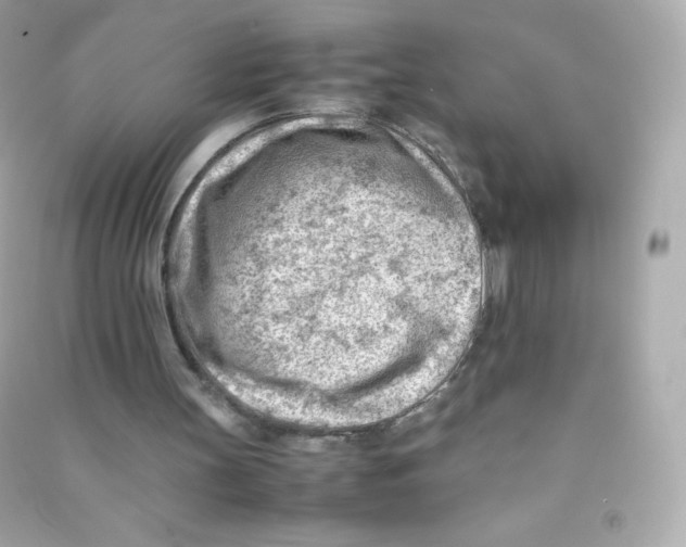 X0000090430147200708102012