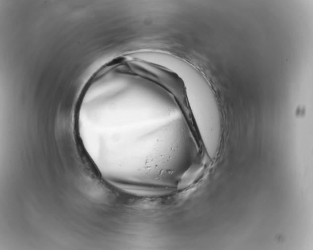 X0000090430148200708102012