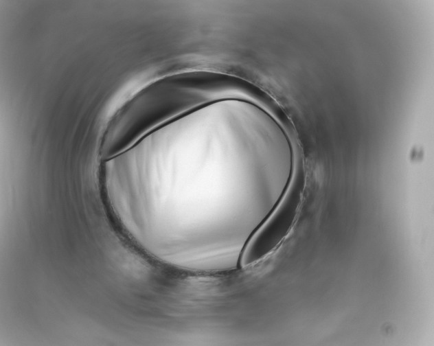 X0000090430150200708102012