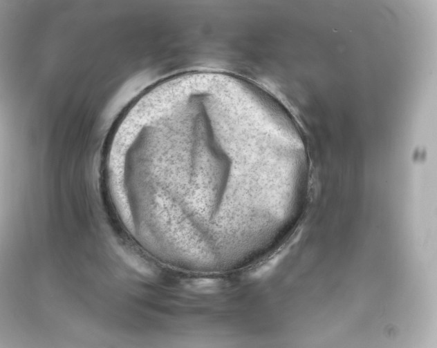 X0000090430151200708102012