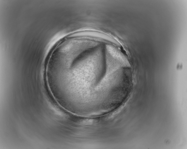 X0000090430152200708102012