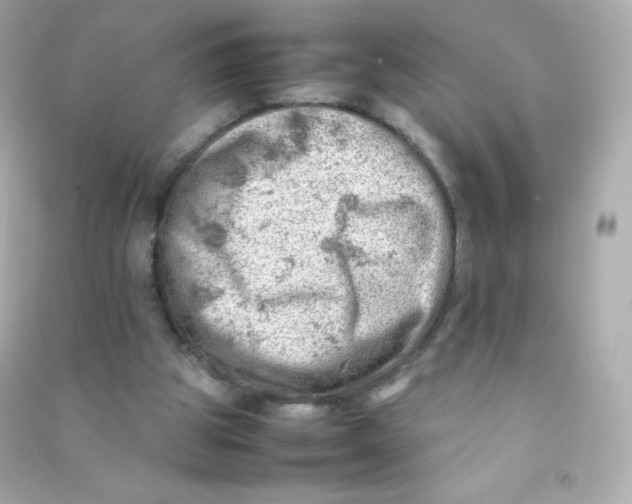 X0000090430153200708102012