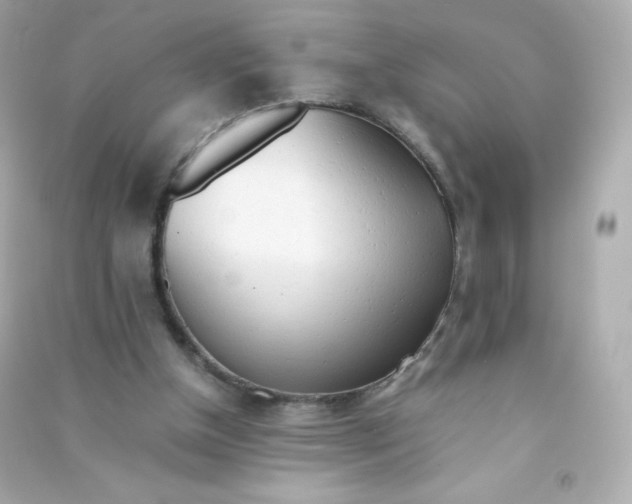 X0000090430154200708102012