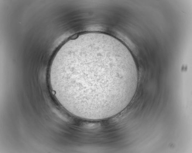 X0000090430155200708102012