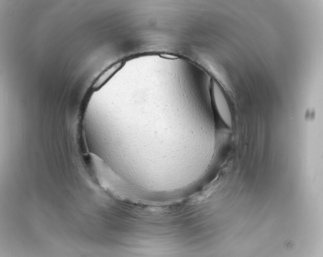 X0000090430156200708102012