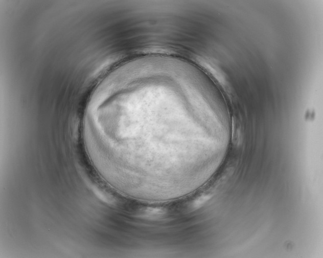 X0000090430157200708102012