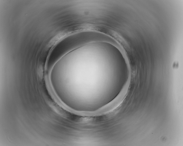 X0000090430158200708102012