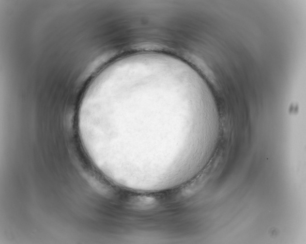 X0000090430159200708102012