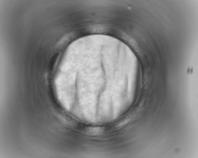 X0000090430161200708102012