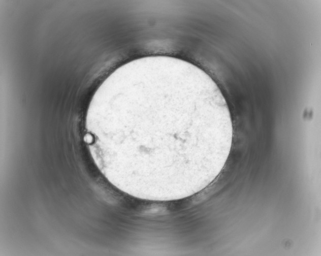 X0000090430162200708102012