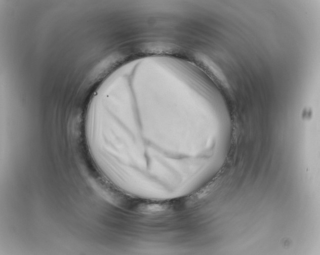 X0000090430163200708102012