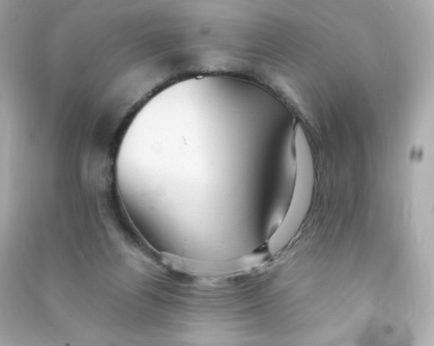 X0000090430164200708102012
