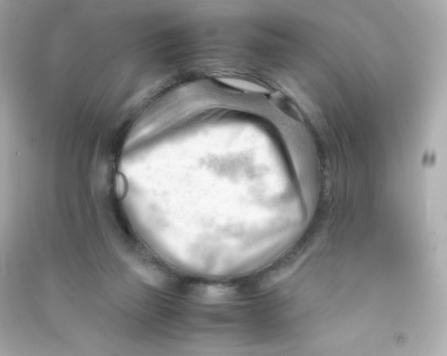 X0000090430165200708102012