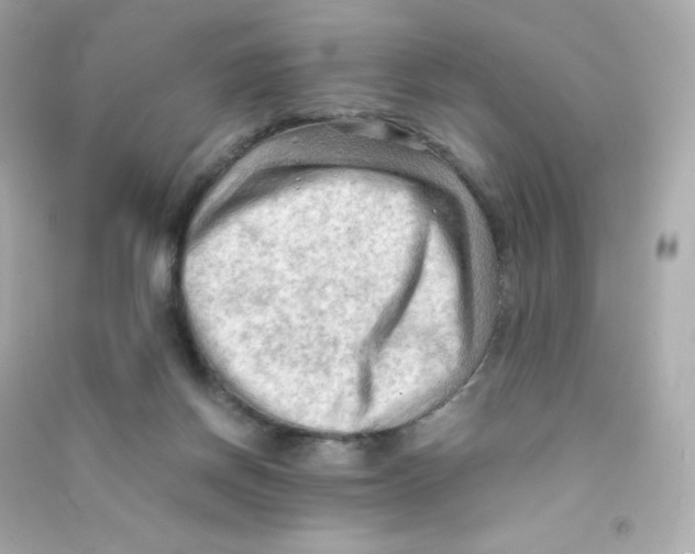 X0000090430166200708102013