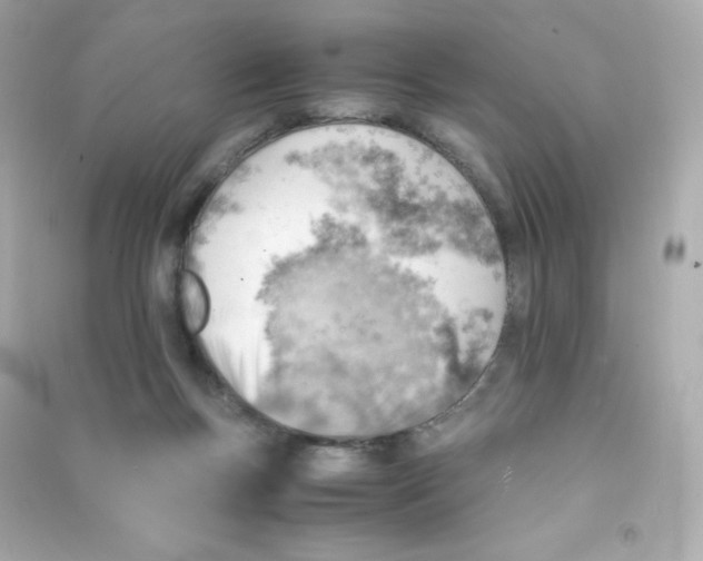 X0000090430167200708102013