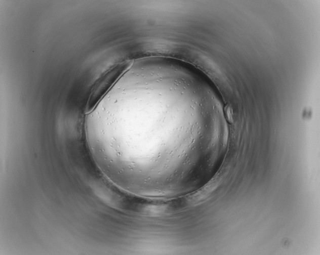 X0000090430168200708102013