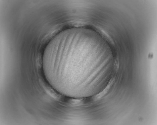 X0000090430170200708102013